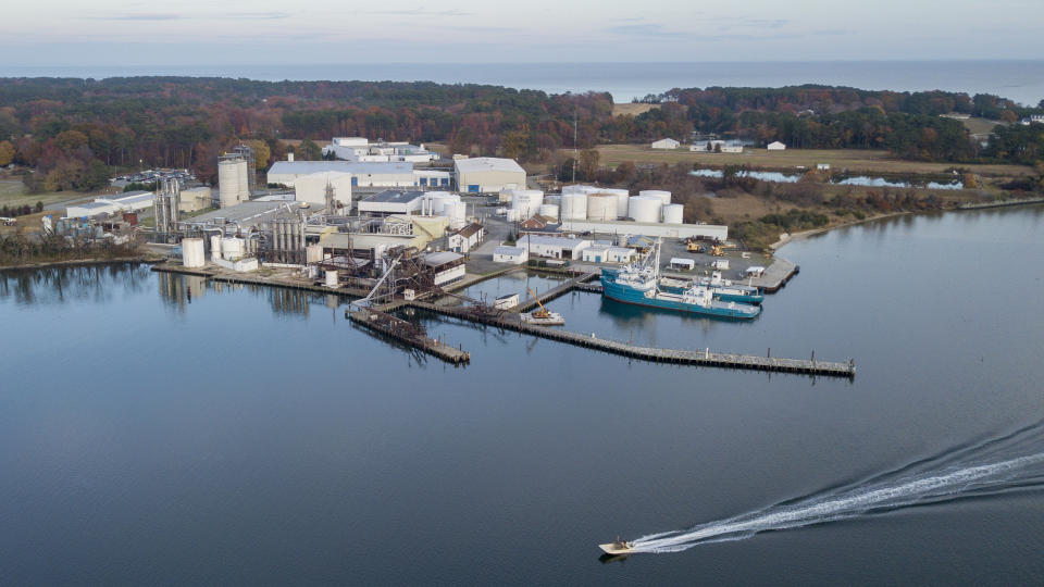 A small boat passes Omega Protein's Menhaden processing plant on Cockrell's Creek in Reedville, Va., Tuesday, Nov. 26, 2019. The last east coast fishery now produces fish oil for health supplements and faces a possible moratorium over concerns about overfishing in the Chesapeake Bay. (AP Photo/Steve Helber)