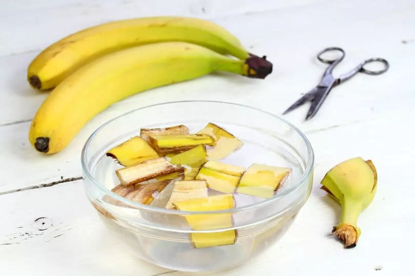 Banana peels in a bowl of water