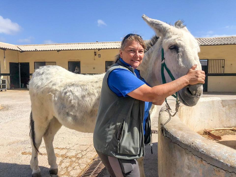 Bangt um das Fortbestehen ihrer Pferderanch: Fuerteventura-Auswanderin Margit Schlagl. (Bild: TVNOW / 99pro media)