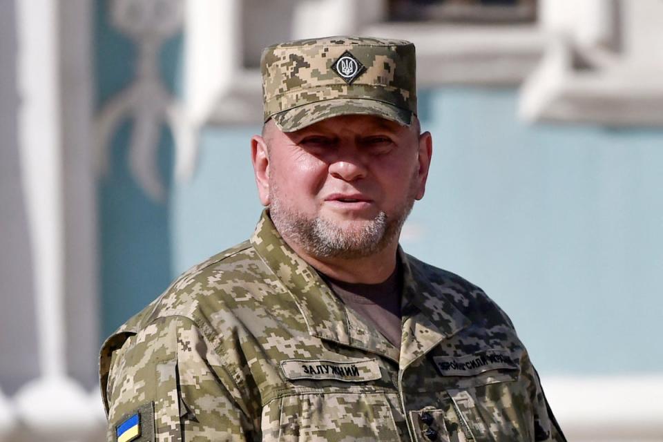 Ukrainian general Valery Zaluzhny says Russia has the power to destroy entire cities in Ukraine next year (AFP via Getty)