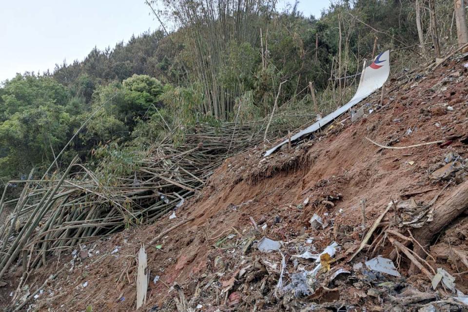 2022年3月21日，廣西，一架從昆明飛往廣州的中國東方航空公司波音 737飛機墜毀現場看到飛機殘骸。