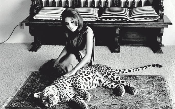 Lana at home with a leopard in 1966 - Gettyimages