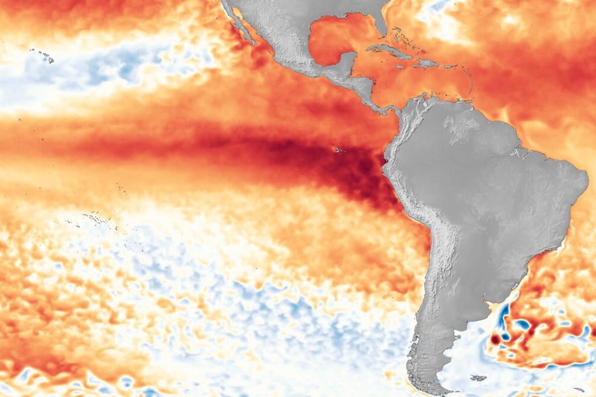 El Niño brings unusually warm waters to the eastern Pacific. NASA