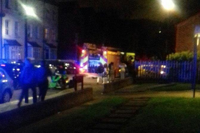 A fire engine at the illegal rave in West Norwood (Trudi Brown (Twitter))