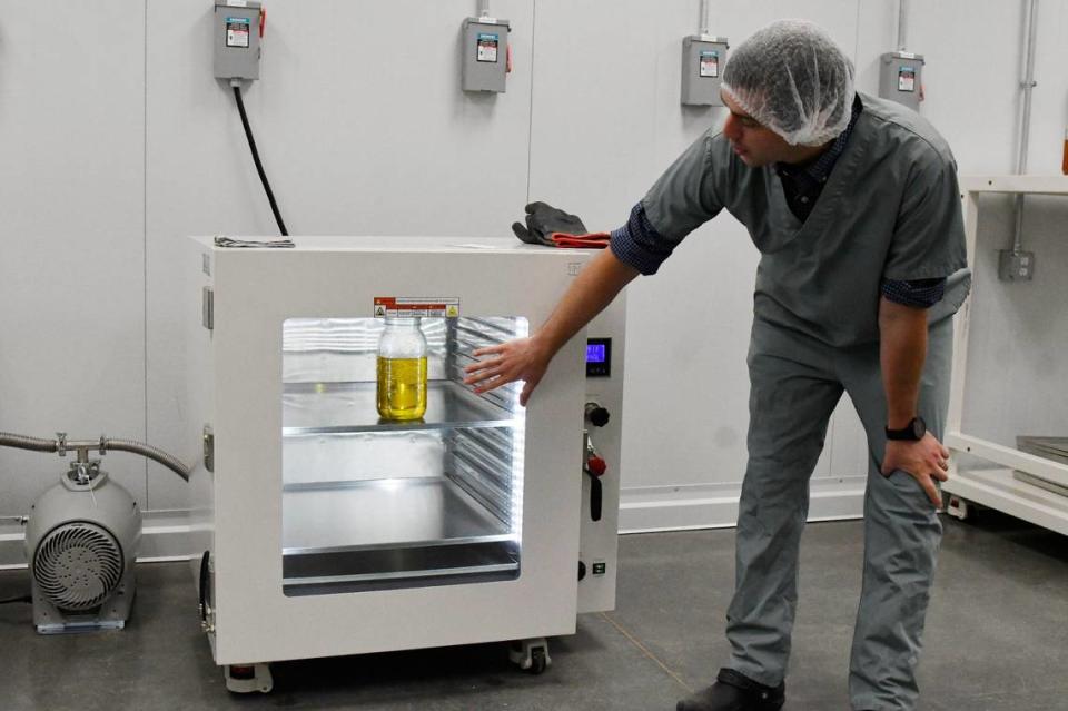 Will Kacheris points to a jar containing 90 to 95% extracted THC from cannabis plants while giving a tour of the Fine Fettle cultivation and extraction facility on Wednesday, May 29, 2024, in Macon, Georgia. Around 80 cannabis plants were extracted to fill the container.