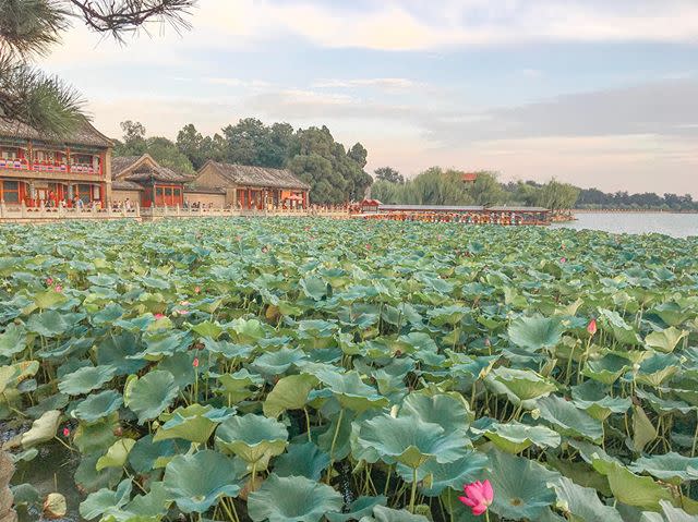 8) Summer Palace, Beijing