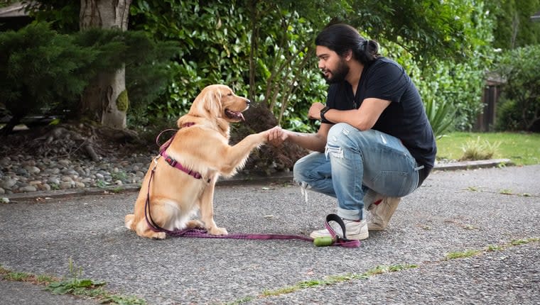 Deaf Dog Learns Sign Language in Just Eight Weeks