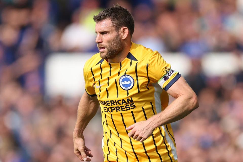 James Milner played a starring role for Brighton in midfield (Getty Images)