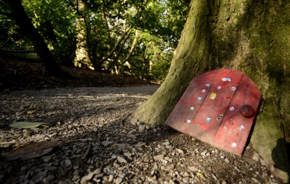 Woodland authorities crack down on fairy doors