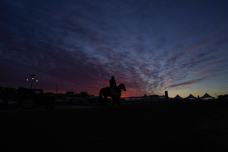A jockey is seen atop a horse at dawn at the track at Pimlico Race Course ahead of the Preakness Stakes horse race, Wednesday, May 12, 2021, in Baltimore. (AP Photo/Julio Cortez)