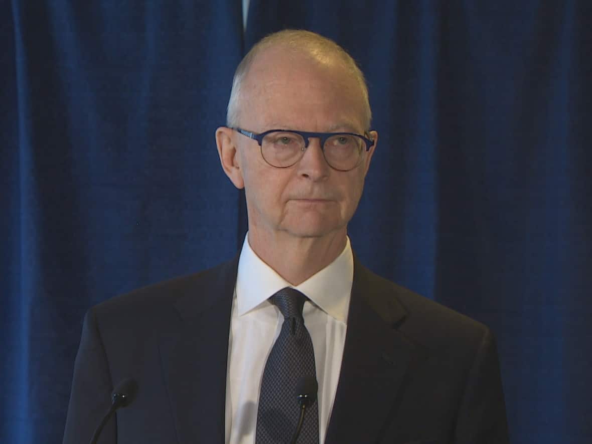 The former leader of the Progressive Conservative Party of Newfoundland and Labrador, Ches Crosbie, donated $300,000 to the party in 2021. Crosbie's cash accounted for more than 40 per cent of the party's donations. (CBC - image credit)