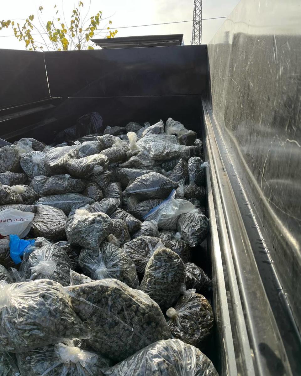 Photo of bagged marijuana found by the Stanislaus County Sheriff’s office in Denair on Thursday, Dec. 21, 2023.