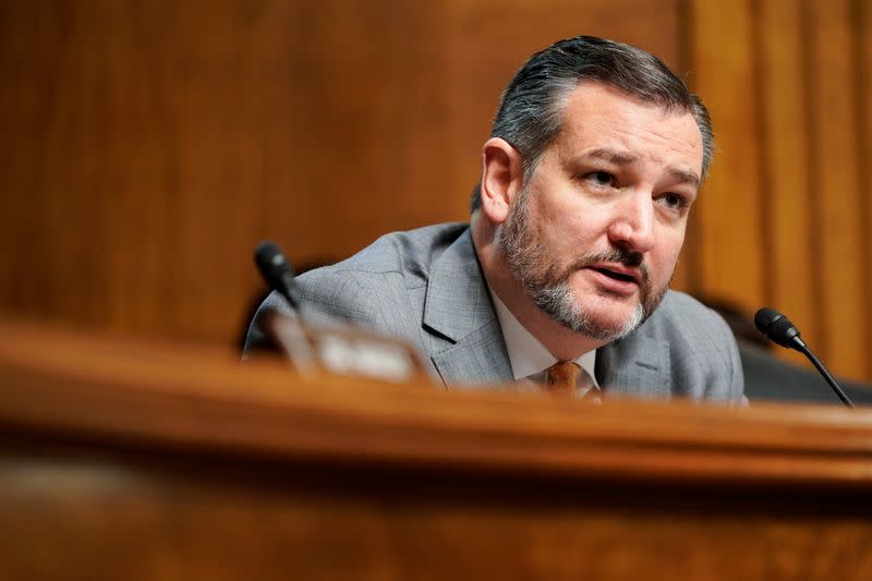 Senator Ted Cruz (R-TX) questions judicial nominees during a hearing before the Senate Judiciary Committee on Capitol Hill in Washington