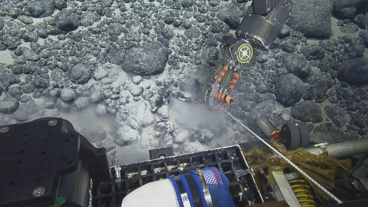  A remotely operated vehicle (ROV) collecting the megalodon tooth from a seamount. 