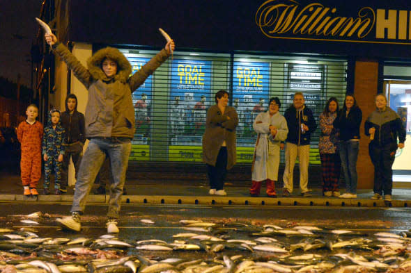 Thousands of fish flood street in Belfast as lorry sheds load