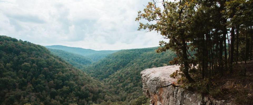 Bluff lines and rock formations at Hawksbill Crag Hiking Trail