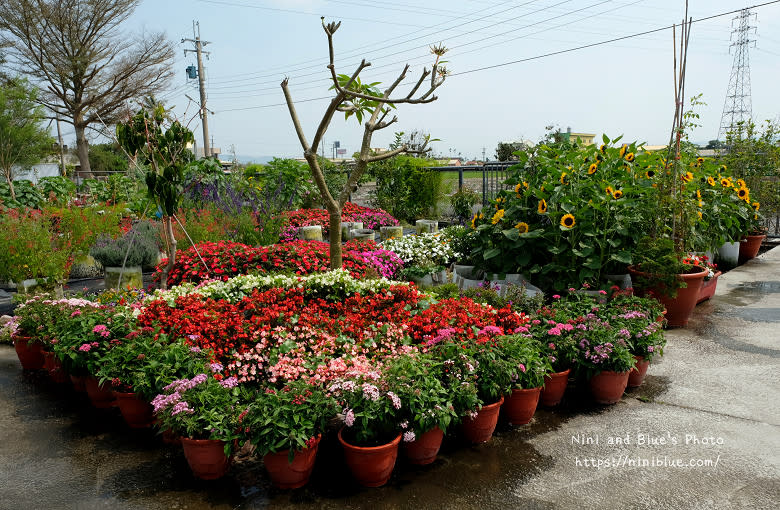 彰化芬園｜埔茂花市