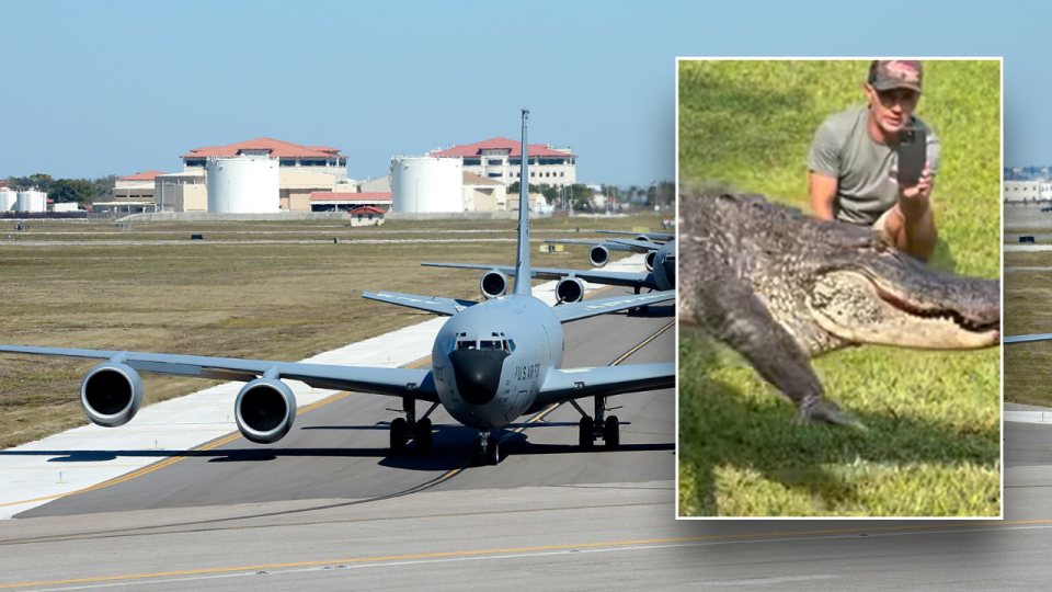 Split image of AFB planes and alligator