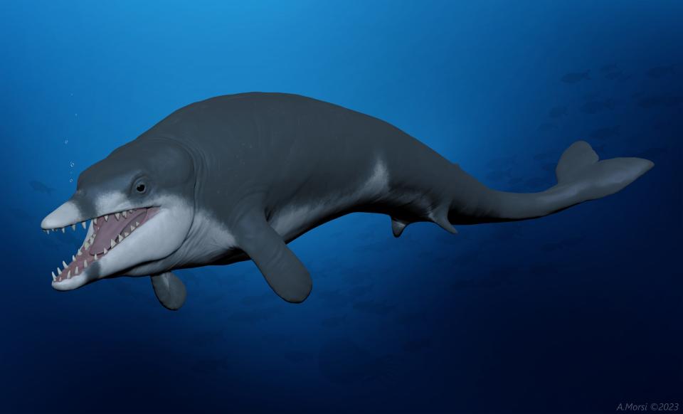 An artist’s rendition of an ancient species of whale newly discovered in Egypt. These whales were estimated to have been about 8 feet long and weigh about 400 pounds. They lived 41 million years ago and have been dubbed Tutcetus rayanensis – the King Tut whale – after the ancient Egyptian Pharaoh, Tutankhamun.