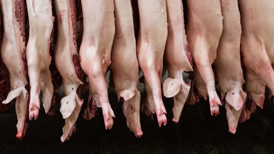 Halbierte Schweine hängen in einem Schlachthof.