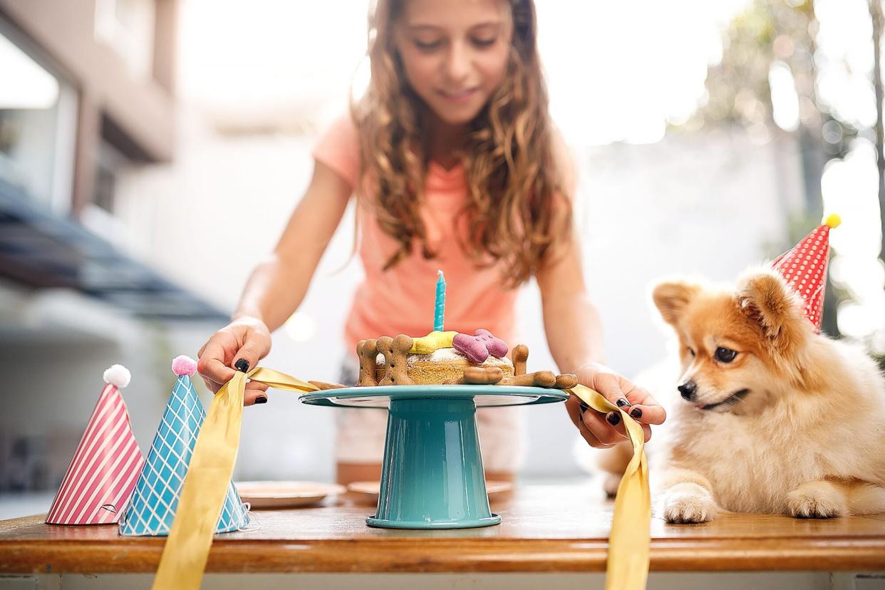 young girl setting up a dog cake and party favors for a dog gotcha day party