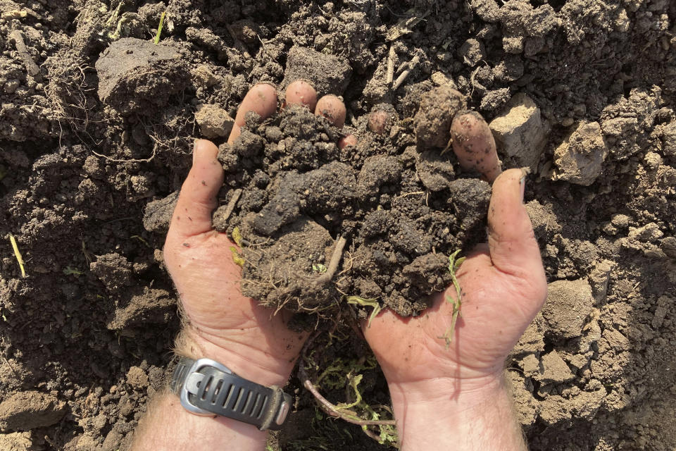 Aaron Nichols holds rich soil on his farm on March 17, 2023, in the unincorporated community of Helvetia, Ore. Nichols believes that a bill in the Legislature that would allow the governor to unilaterally expand urban growth boundaries threatens farms. (AP Photo/Andrew Selsky)