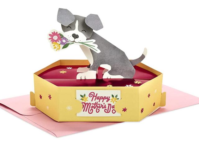 Gifts to Spoil Dog Mom's for Mother's Day — Matthews Legacy Farm