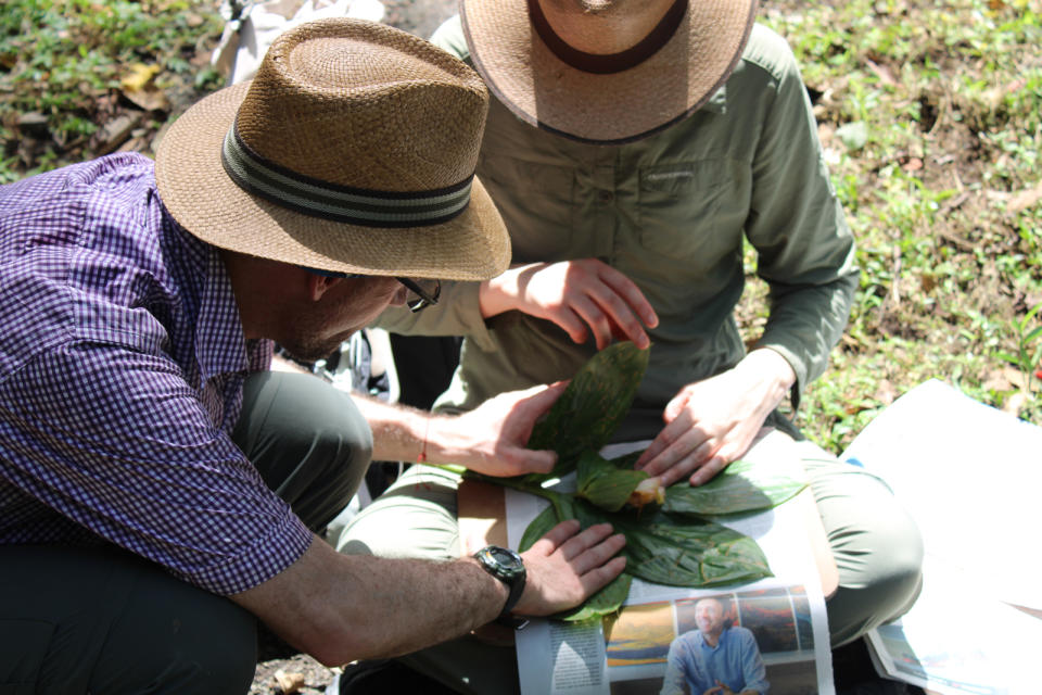 Botanists are exploring Colombia for new and interesting plants (Tiziana Ulian/Mauricio Diazgranados/RBG Kew/PA)