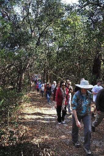 State parks across Florida plan First Day Hikes for New Year's Day.