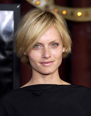 Amber Valletta at the Hollywood premiere of Warner Brothers' Insomnia