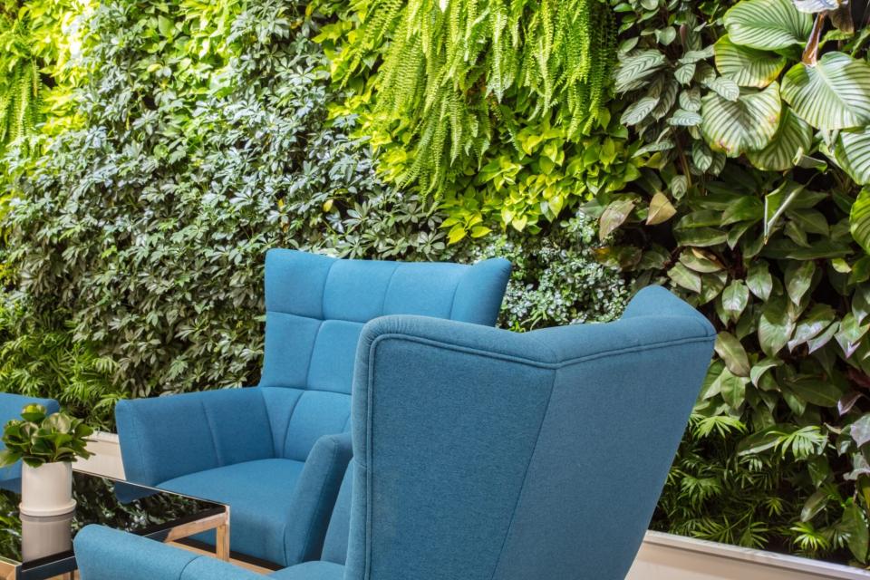 seating next to a living wall, vertical garden