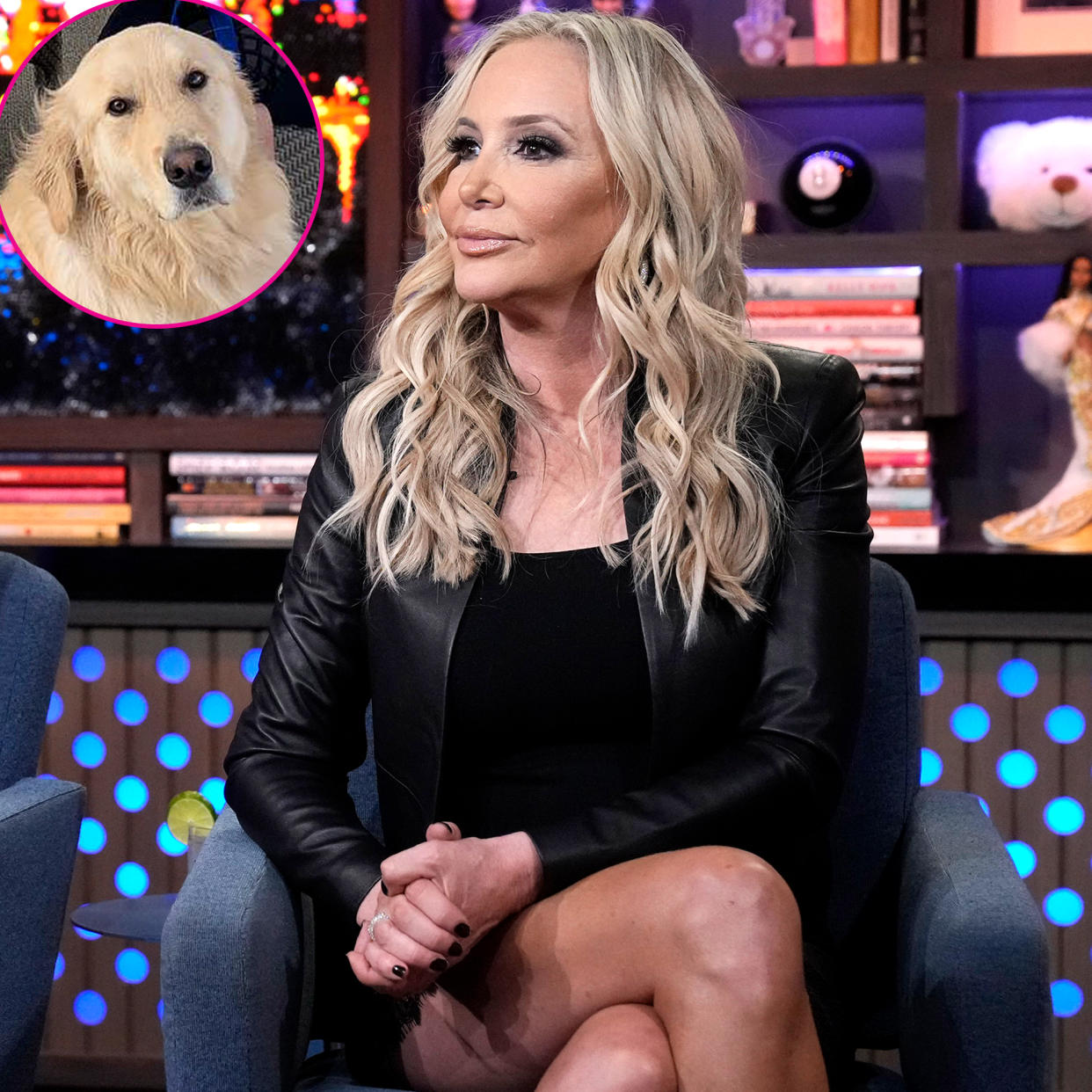 Animal Control Is Getting Involved in RHOC’s Shannon Beador DUI Hit-and-Run Incident