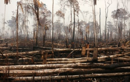 A tract of Amazon jungle is seen after a fire in Boca do Acre