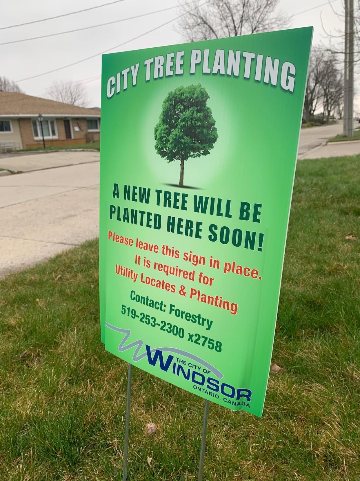 As of earlier this year, tree planting requests can be made online by Windsor residents. (Bob Becken/CBC - image credit)