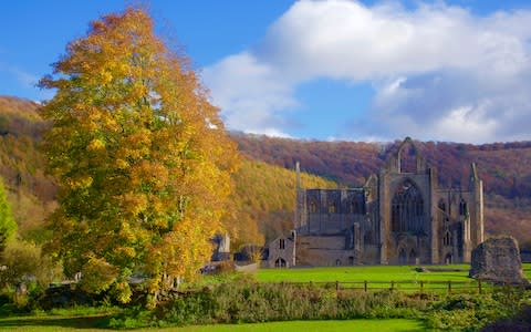 tintern abbey - Credit: Getty