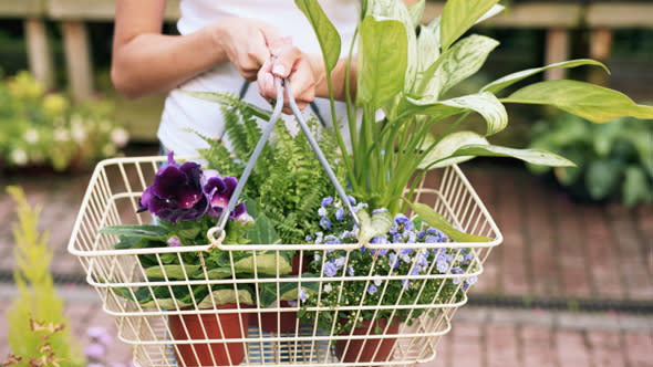 Homeowners spend £30k on gardening