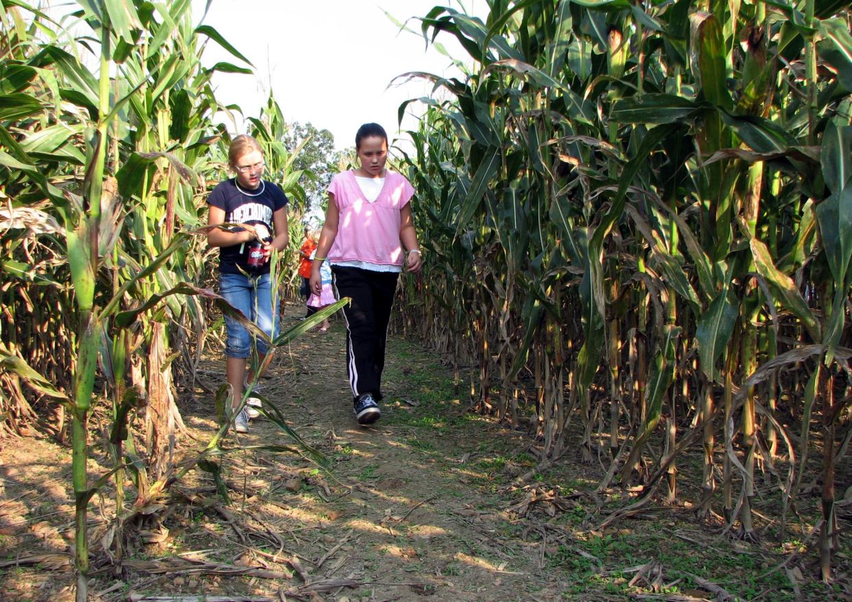 There are a number of corn mazes and pumpkin patches open this year to entertain kids and grown-ups alike.