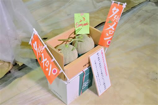 夕張市位於日本北海道中部，近年以生產夕張蜜瓜而聞名。（圖／翻攝自夕張市推特）