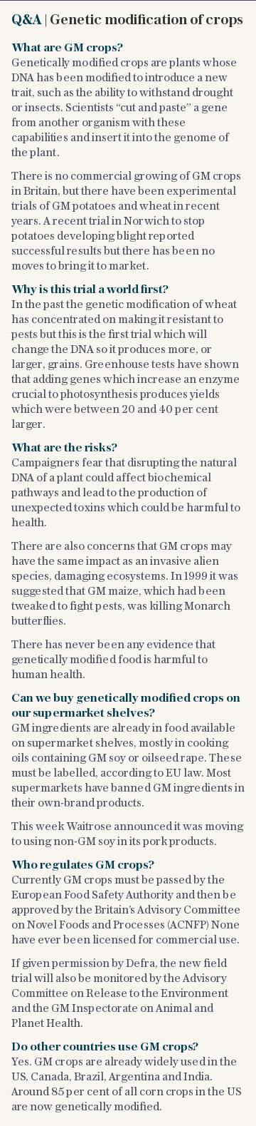 Q&A | Genetic modification of crops