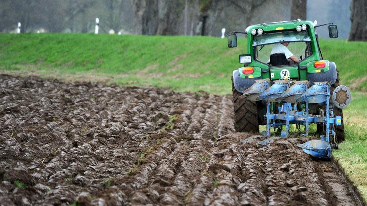 Die deutschen Bauern exportieren Produkte im Wert von 4,5 Milliarden Euro jährlich nach Großbritannien. Foto: dpa