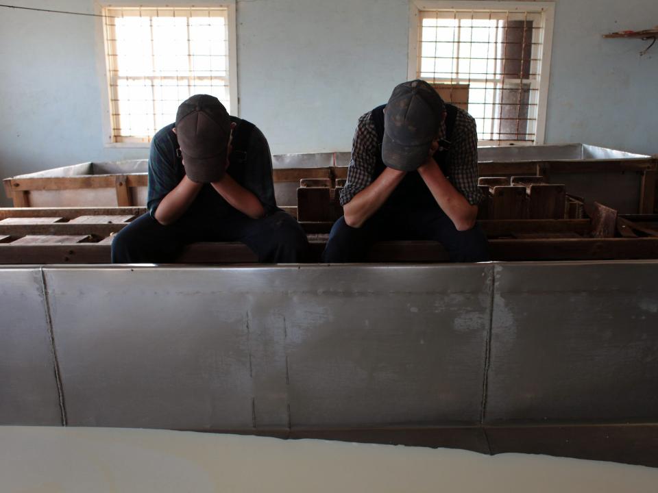 Mennonite teenagers, afraid of the camera, hide their faces in their hands in the cheese factory