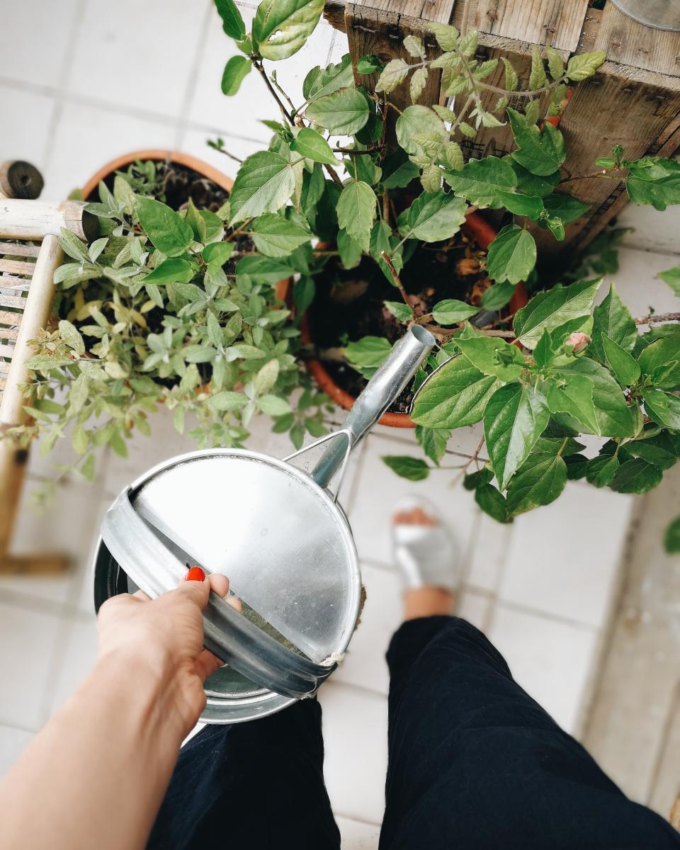 Jeune femme qui arrose ses plantes sur un balcon