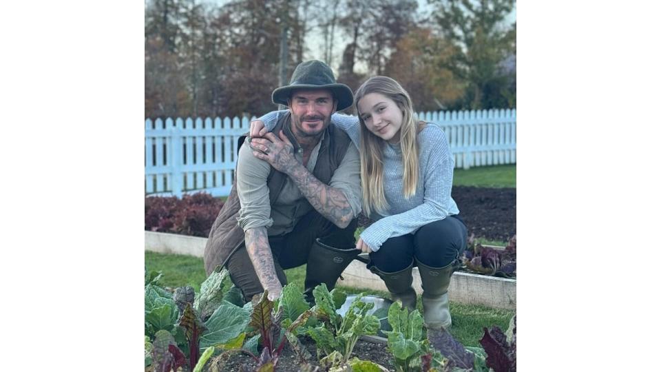 David Beckham and harper standing by a vegetable patch