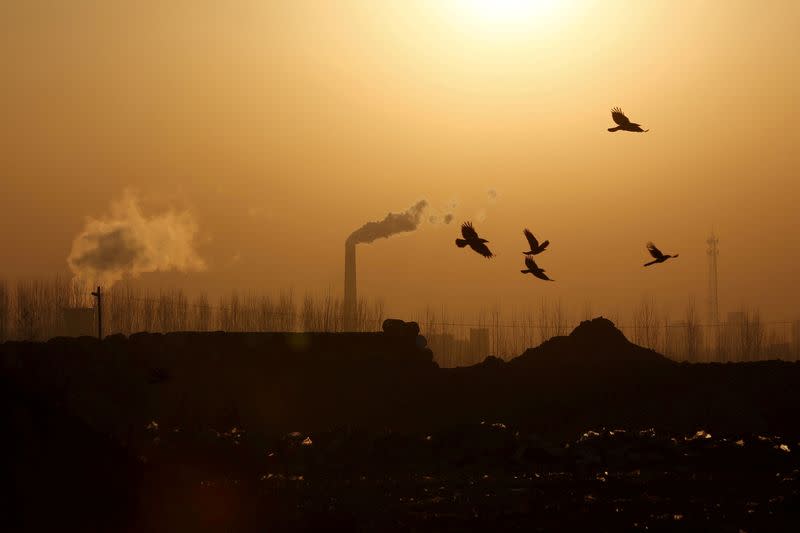 FILE PHOTO: Birds fly over a closed steel factory where chimneys of another working factory are seen in background, in Tangshan