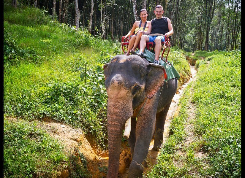 Trekking through the jungle in Thailand is pretty cool; trekking through the jungle in Thailand on the back of an elephant is even cooler. <a href="http://www.destinationweddingmag.com/gallery/bucket-list-honeymoon-destinations-thailand?src=SYN&dom=huffpo" target="_hplink">Phulay Bay, a Ritz-Carlton Reserve</a>, offers the experience, ending with a panoramic view from the top of Naga Mountain. After your adventure, head back to your luxury digs with soaking tubs (yes, tubs — one in the bathroom and one outside in a stone garden) and a lavishly oversize bed, comprised of two California king mattresses linked together and covered with the softest linens imaginable. If the property seems a bit familiar, it's probably because it was featured in <em>The Hangover 2</em>. <em>Photo by Shutterstock</em>  <strong>Related: <a href="http://www.destinationweddingmag.com/gallery/13-affordable-honeymoon-destinations?src=SYN&dom=huffpo" target="_hplink">Best Affordable Honeymoon Destinations</a></strong>