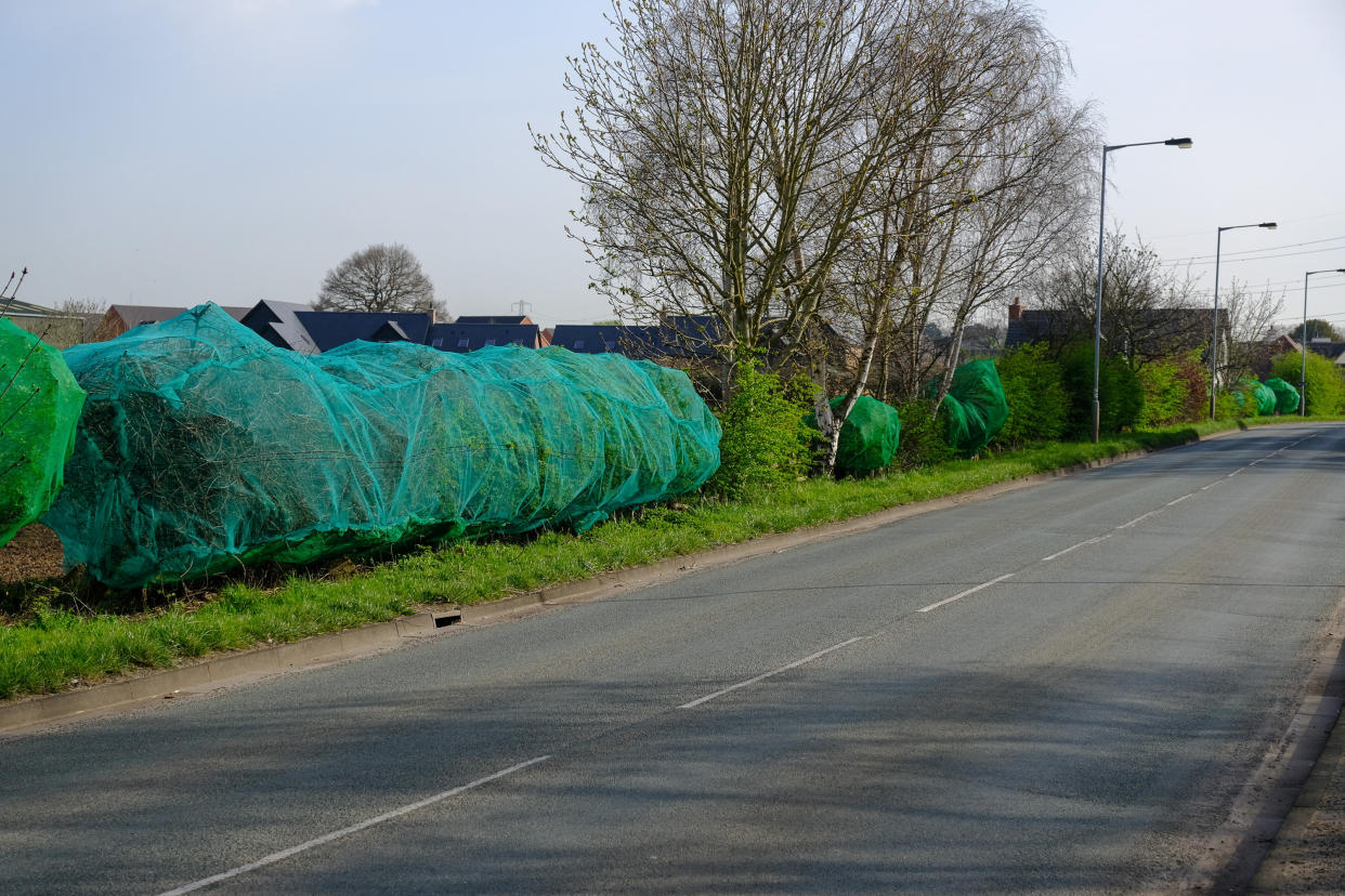 A bird charity has spoken out in outrage after controversial plastic netting was put up near a new housing development.