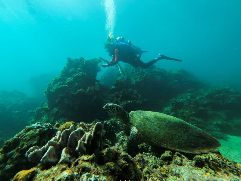 Divers participate in an underwater cleanup drive on World Cleanup Day in Philippines