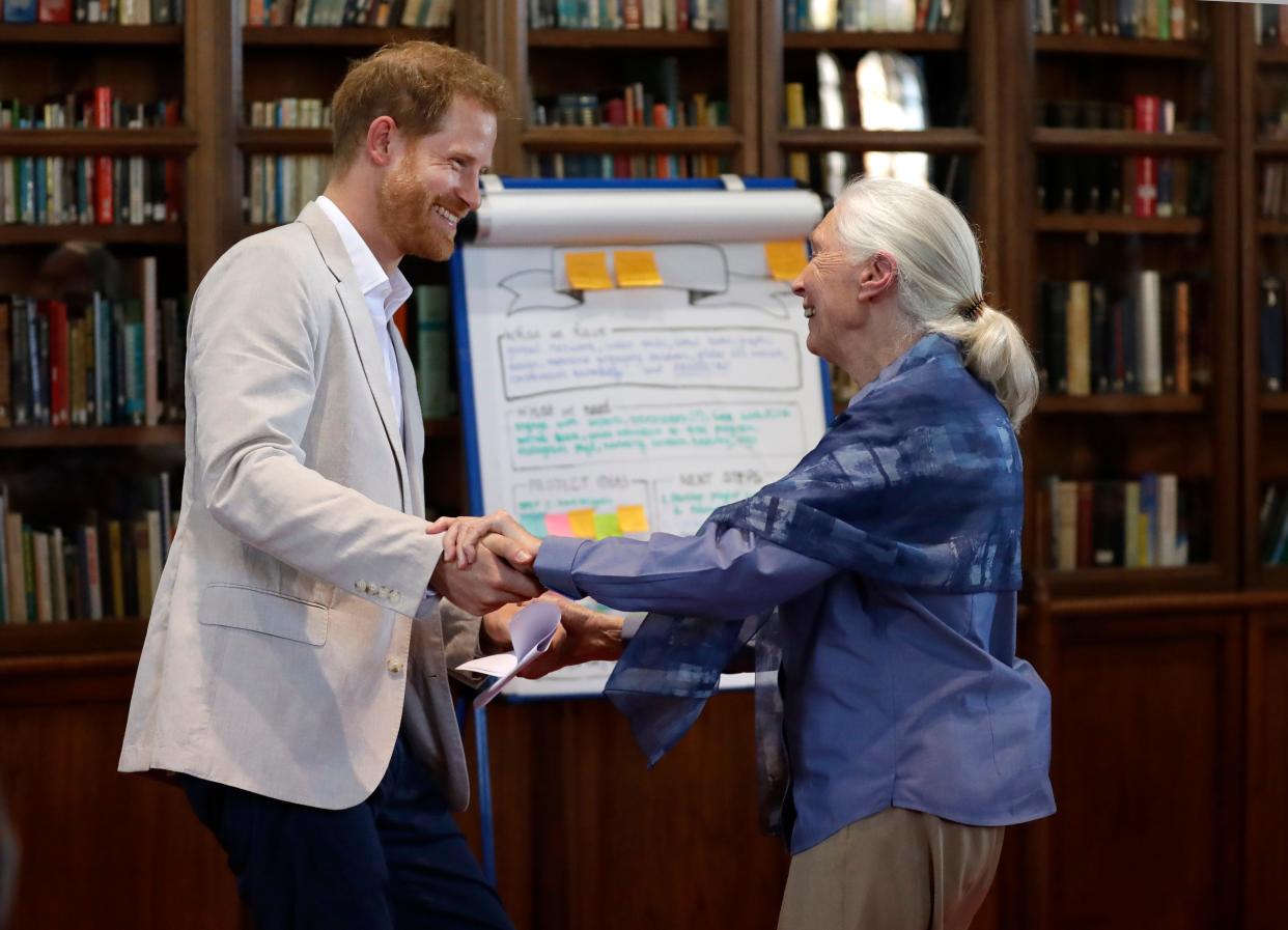 Prince Harry and Dr Jane Goodall dance as he attends her Roots & Shoots Global Leadership Meeting at St. George's House, Windsor Castle, July 23, 2019.