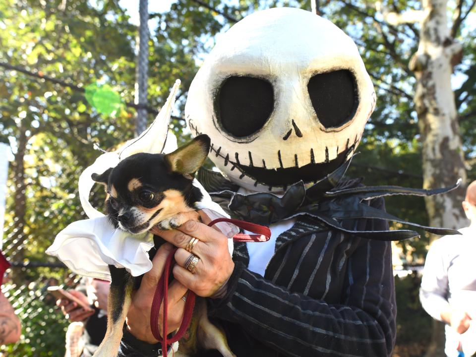 Costumed pooches prance In annual Halloween Dog Parade in New York City