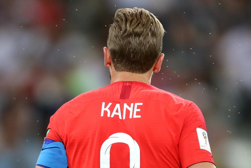 <p>England’s Harry Kane surrounded by insects during the FIFA World Cup Group G match at The Volgograd Arena, Volgograd. (Photo by Owen Humphreys/PA Images via Getty Images) </p>